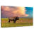 Brampt Badlands Bison-108944030