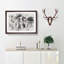 Ring-Tailed Lemur - Picture Frame Painting Print-56856062-56856058