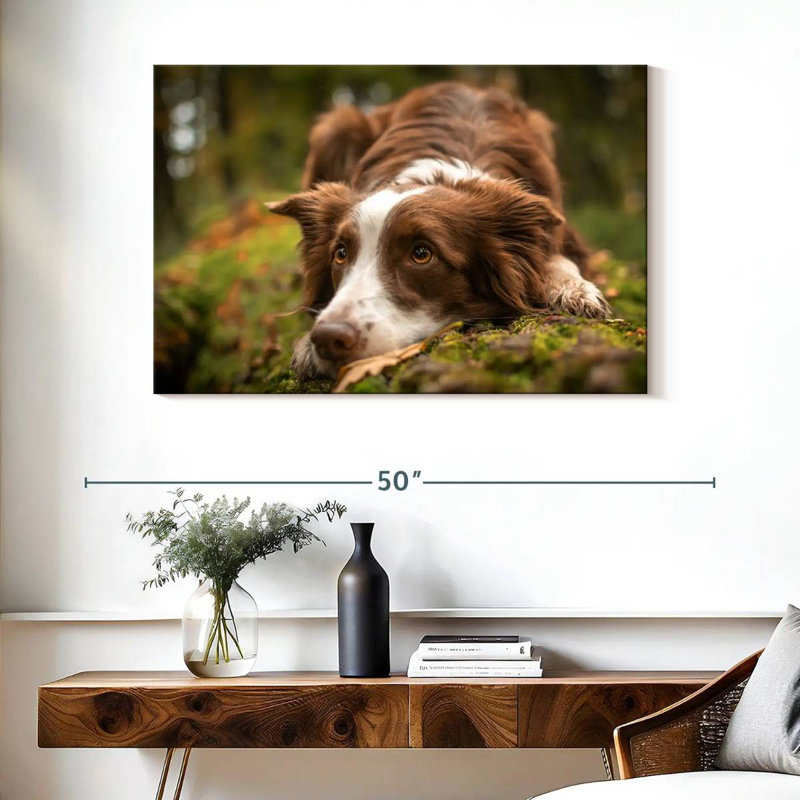 Brampt Lovable Border Collie, 26'' H x 39'' W