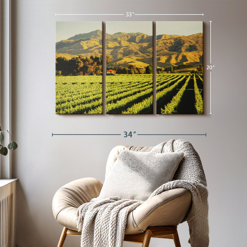 «Blenheim Vineyard» sur, H 20 po x l 33 po x P 1,25 po
