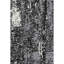 Tapis noir lavable à la machine de qualité supérieure Prisco-910235730