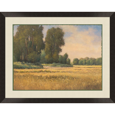 Warm Summer Painting