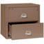 Fireproof 2 - Drawer File Cabinet-331546-217206