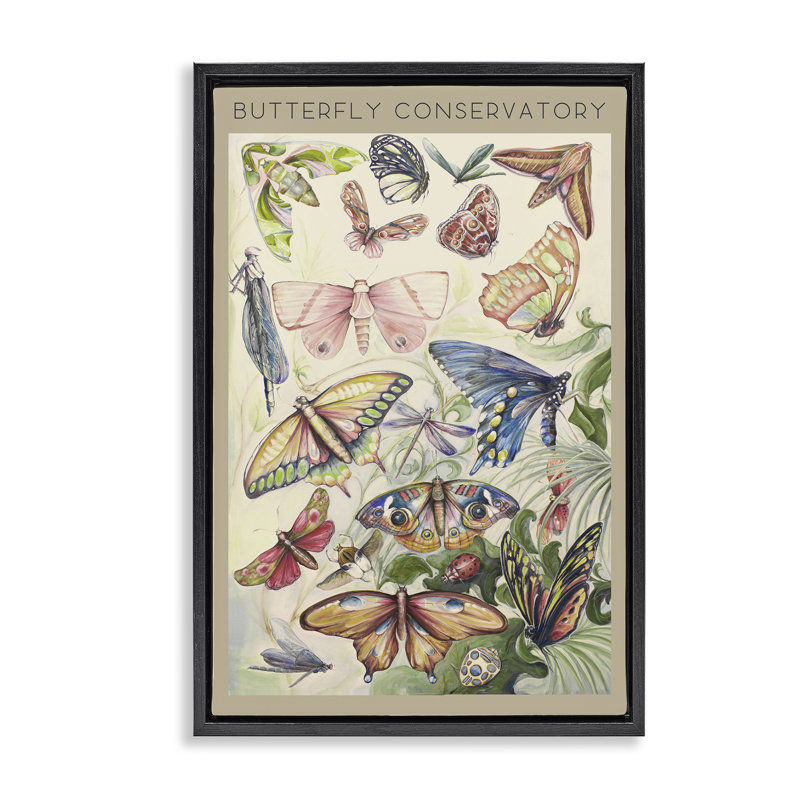 Cadre flottant vintage avec conservateur papillon, design par DIannart, H 25 po x l 17 po, Cadre flottant noir de jais