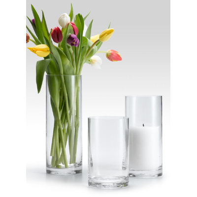 Aiyub Glass Table Vase
