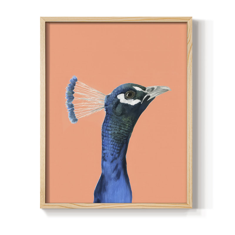 Peach Peacock Portrait I Framed Print - Solid Wood, Naturel, H 11 po x l 9 po