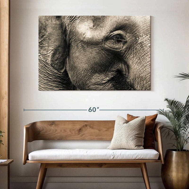 Brampt Wrinkled Elephant Face, 32" H x 48" W