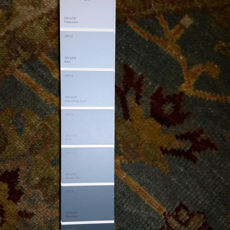 Katherinne Oriental Area Rug in Gray