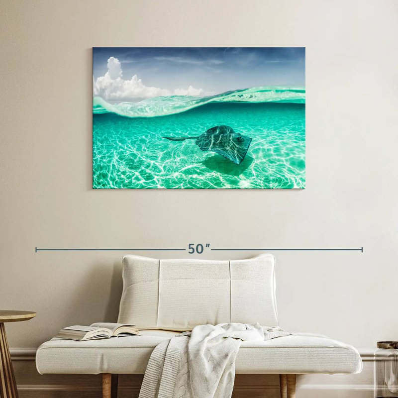 Brama Manta Ray sous l'eau, H 26 po x l 39 po