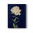 " Pretty As A Peony I "-1337290569