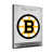 Boston Bruins