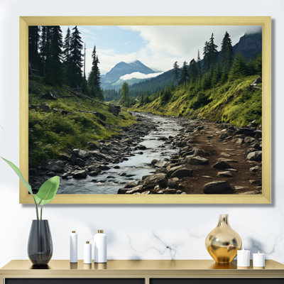 " USA Olympic National Forest River "