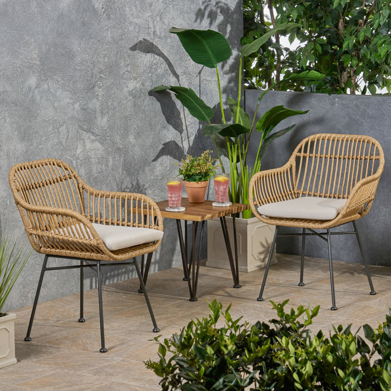 Chaises en faux rotin avec coussins Rodney (ensemble de 2)