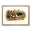 Black Rat by J.W. Audubon - Picture Frame Painting Print-55686599-55686602