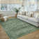 Elyria Performance Oriental Area Rug