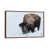 Classic Wood Framed is unavailable