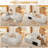 102.3" Cloud-Like Modular Sectional Sofa-1796153922