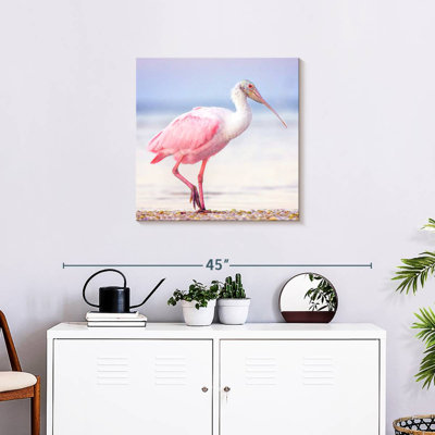 Spatule rose Brampt