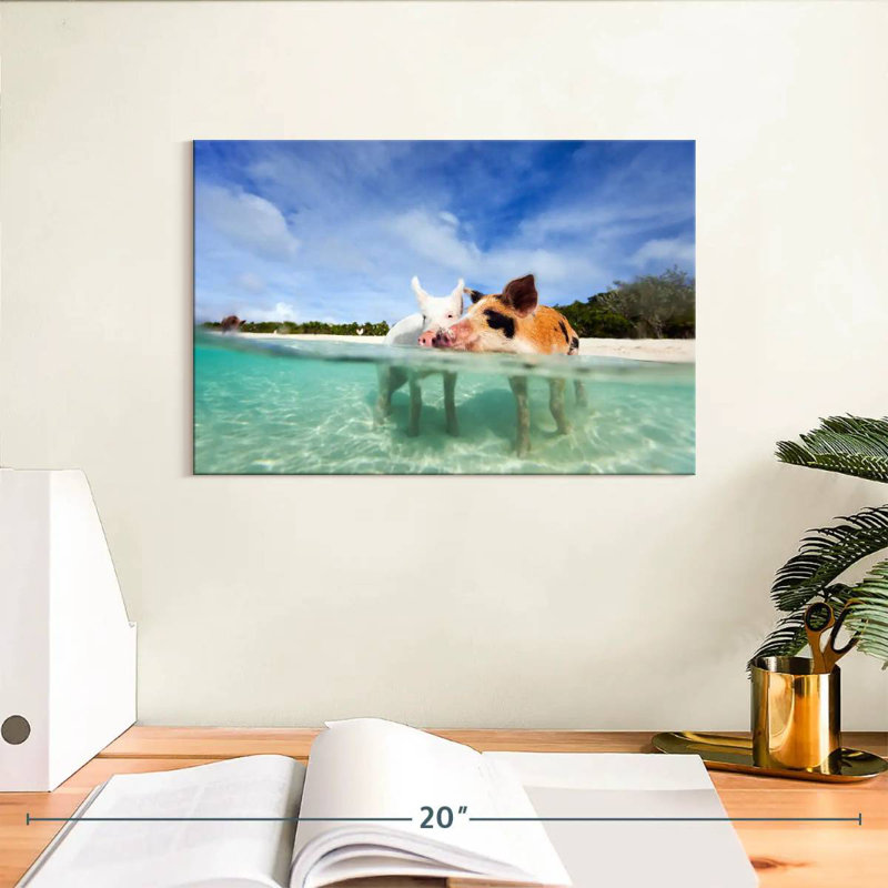 Brampt Pigs Bahamas Life, H 8 po x l 12 po