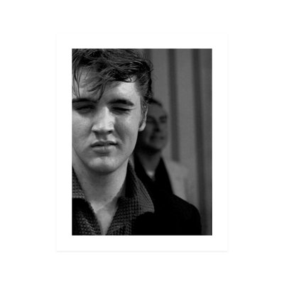 Elvis Presley " Elvis Presley: The Wink " by Lloyd Dinkins