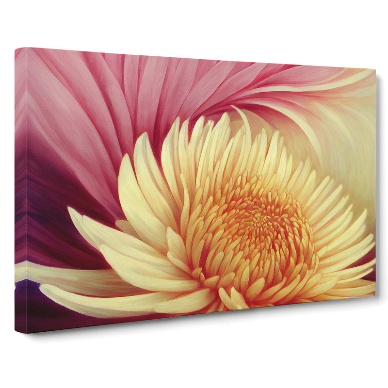 Extravagant Chrysanthemum Flower - Wrapped Canvas, 40cm H x 60cm W x 3cm D