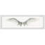 Impression encadrée « wing span »-50107464