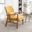 Fauteuil Kornelijus-1980233510