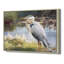 Birds-2090726213-2090726208