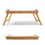 Tray Table