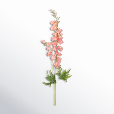 Larkspur Sprays