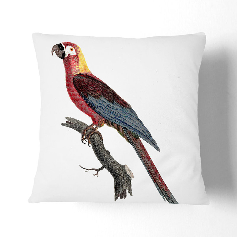 Square Cushion, 40cm H x 40cm W x 15cm D