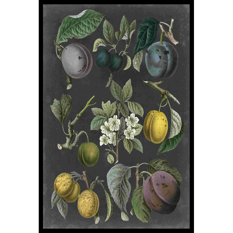 Orchard Variétés IV, H 18 po x l 12 po