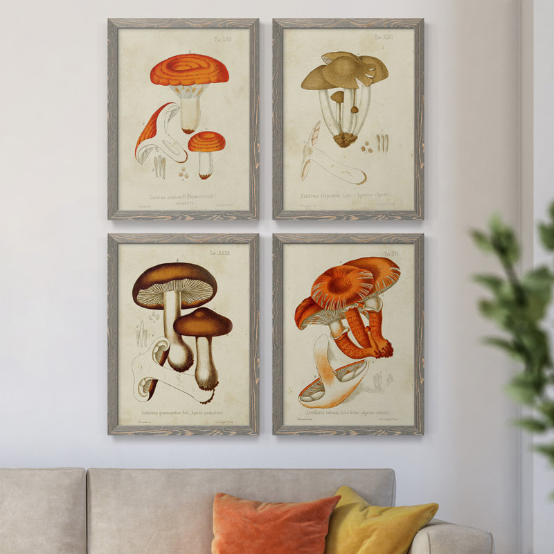 Champignon Variétés Ix - ensemble de 4 reproductions d'art sur toile encadrées, H 20 po x l 68 po x P 1,5 po, gris