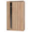 Baturhan Manufactured Wood Wardrobe