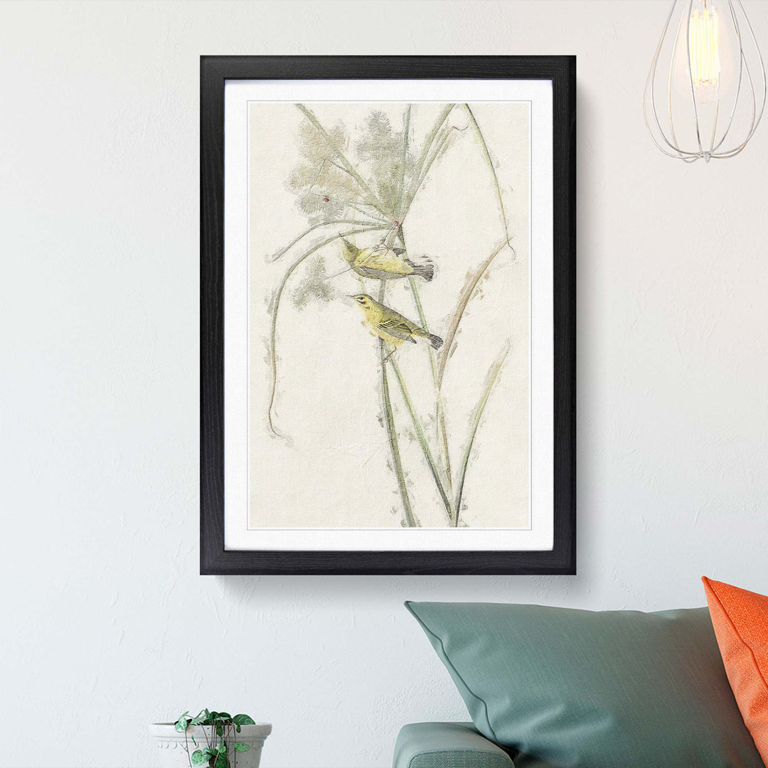 Prairie Warbler Birds by John Audubon - Picture Frame Painting Print