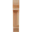 Corbeau Pescadero-1571285287-1571285246-1571285244