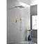 Ensemble de douche mural 10 po