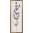 Lavender Stem-558287391