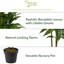 Plante artificielle en soie Dracaena (Real Touch)