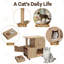 Station d'alimentation pour chat