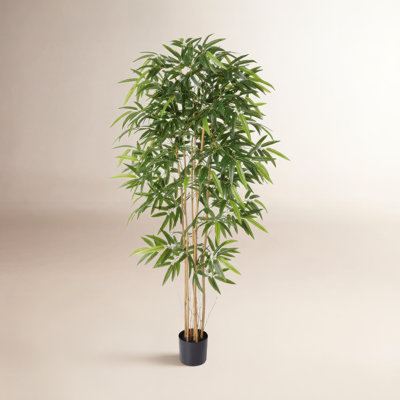84" Bamboo Tree in Pot