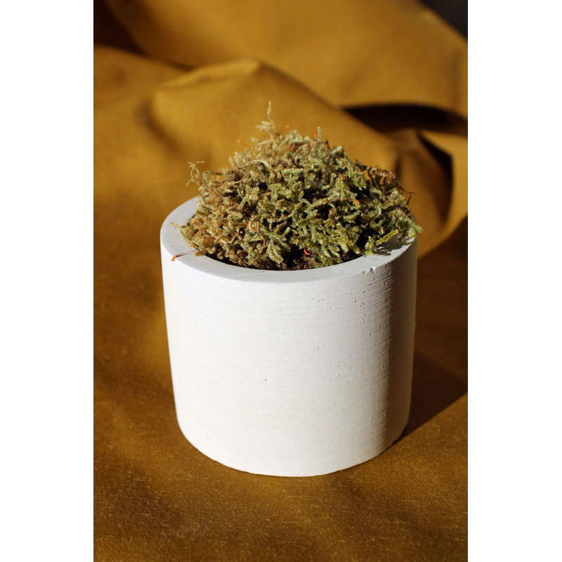 Concrete / Cement Tabletop Tealight Holder, Grey