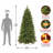 7.5ft. Lehigh Valley Slim Pine Tree with Dual Color LED Lights