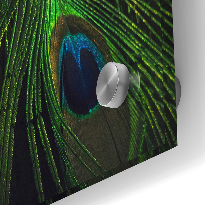 Epic Art «Peacock Tail» par Incado, H 36 po x l 24 po x P 0,2 po