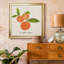 «Citrus Trattare II», reproduction encadrée de qualité supérieure - prête à être accrochée-1348049926-1348028208-1348028215