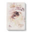 Pale Pink Rose Abstract - Wrapped Canvas-56640384