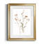 Pressed Botanical I par J Paul - reproduction de cadre photo-562179507-562179510