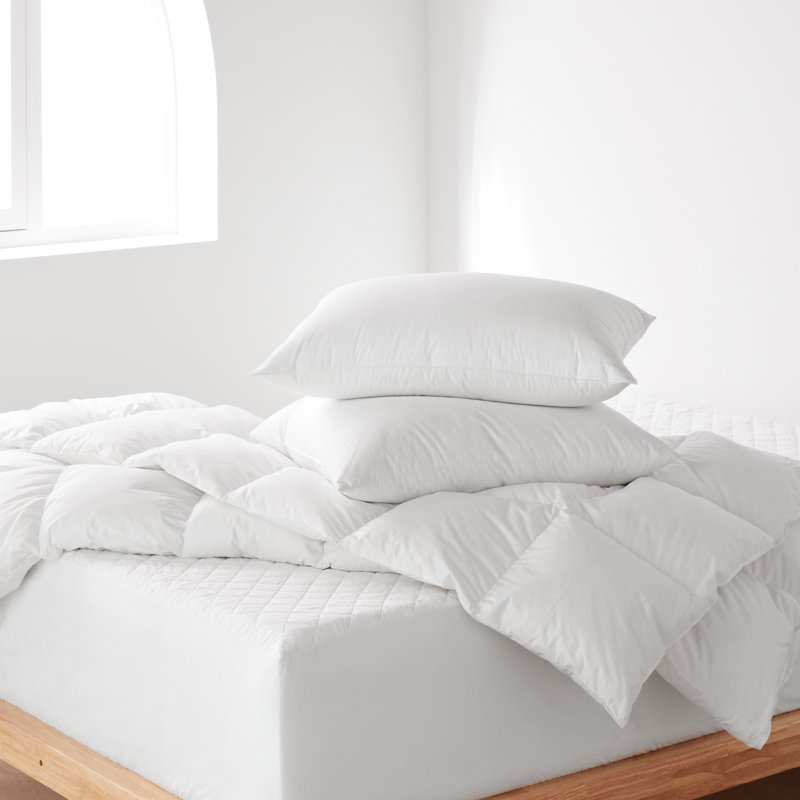 Cotton Pillow Insert, Rectangle, 22"H x 22"W