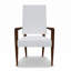 Athamas Leather Arm Chair