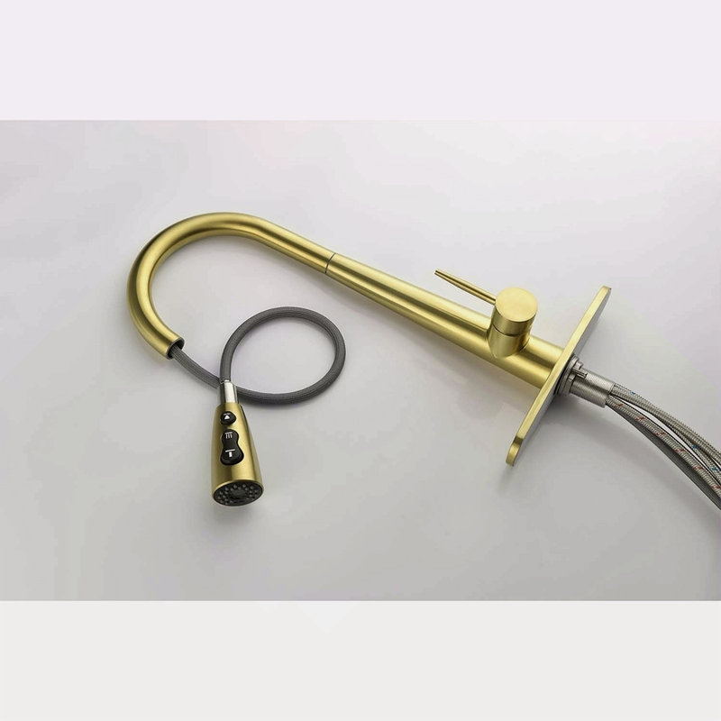 Single Handle Stainless Steel Kitchen Sink Faucet With Pull Down Sprayer, Brushed Gold